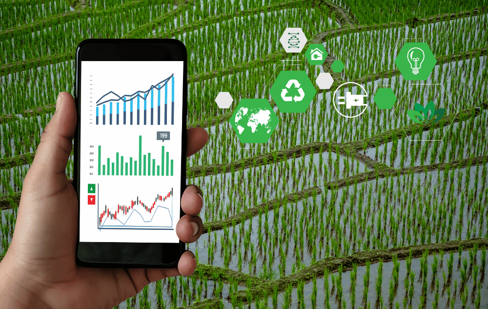 Stratejik Yaklaşımımız